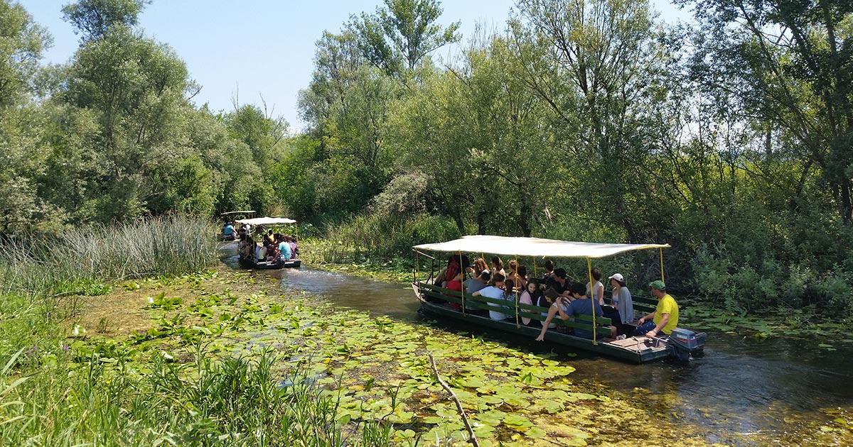 Hercegovački dragulj prirode Hutovo blato – fotosafari jedinstvena turistička atrakcija